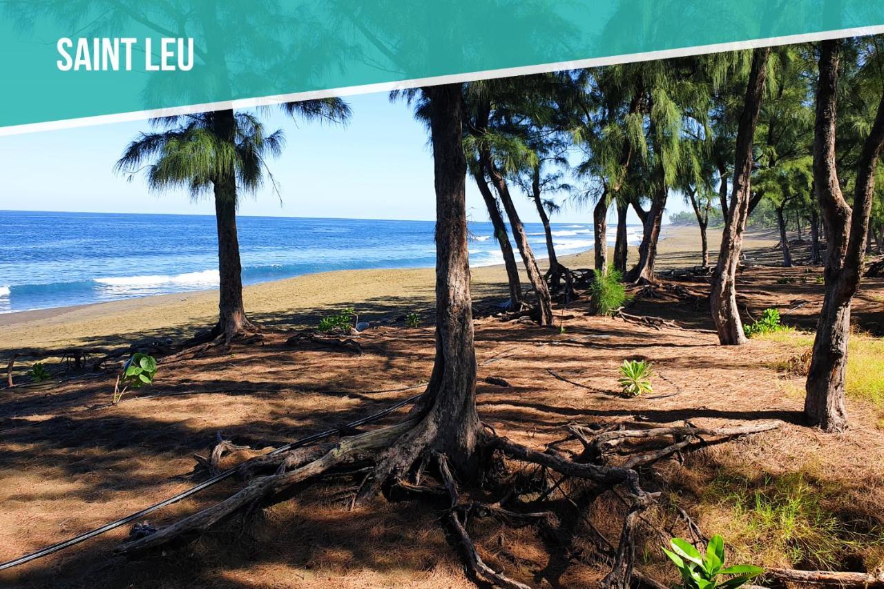 סן-לו Ti Case Fleurie * Piscine * Jardin Tropical מראה חיצוני תמונה